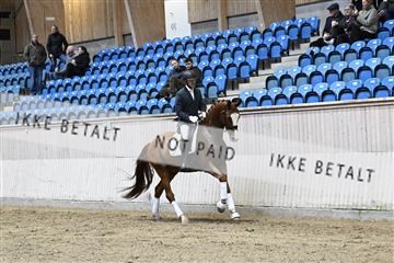 182241_kbb_01_Z094234.JPG