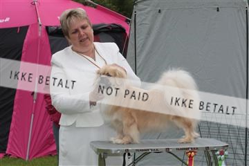 130370_tl_01_IMG_7033.JPG