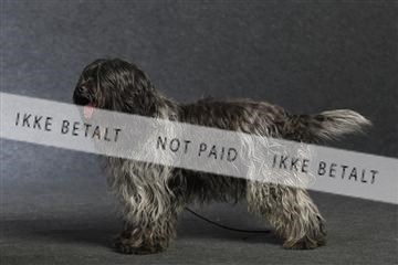 132082_le_ 01_IMG_0966.JPG