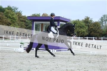 181923_mtp_01_R62_6561.JPG