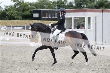 166078_rhj_01__J7R4632.JPG