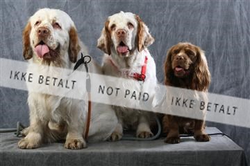 129608_le_ 01_0717.JPG