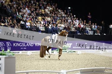 182194_avh_06_3634.JPG