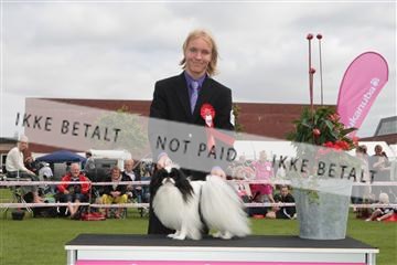 130370_tl_01_IMG_7185.JPG