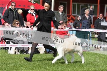 134871_ms_04_IMG_0742.JPG