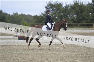 169624_kbb_01__KBB7867.JPG