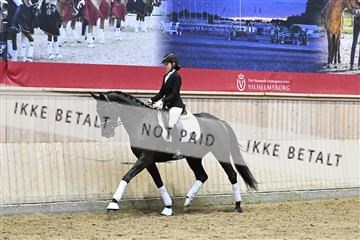 182241_kbb_01_Z093511.JPG