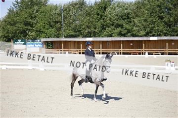 181855_jss_01__6II9024.JPG