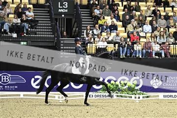 182194_kbb_03_Z092641.JPG