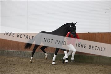 175968_mlm_02_R62_0120.JPG
