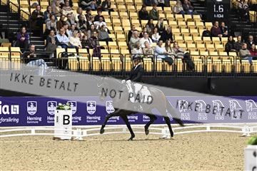 182194_kbb_03_Z090579.JPG