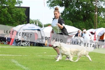 181564_rin_02_R62_1822.JPG