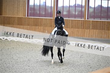 182176_kbb_01_Z093772.JPG