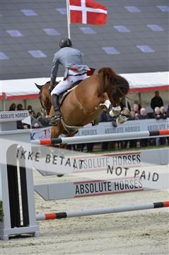 139644_abo_10__AB11052.JPG