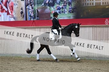 181887_mtp_05_R62_9632.JPG