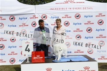 181848_kar_01__62_2267.JPG
