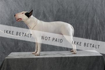 128239_le_kort_ 01_0245.JPG