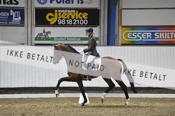 140040_abo_02__AB19404.JPG