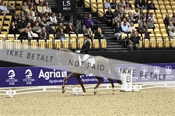 182194_kbb_03_Z090636.JPG