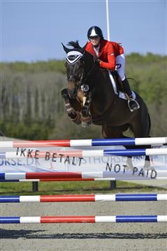 139644_abo_02__AB14517.JPG