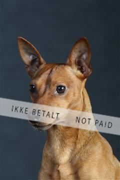 132082_le_ 01_IMG_0227.JPG