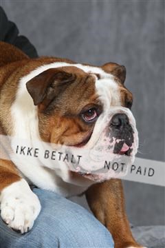 130054_le_ 03_0363.JPG