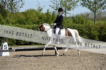 139815_ms_01__MS27089.JPG