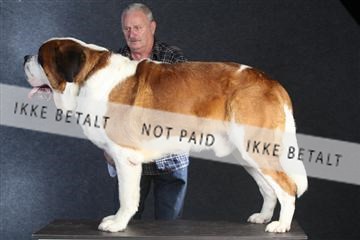 132082_le_ 01_IMG_0077.JPG