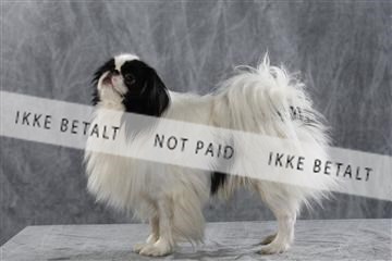 128239_le_kort_ 01_0313.JPG