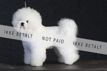 132082_le_ 01_IMG_0200.JPG