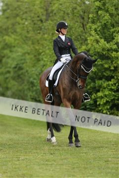 139835_sg_02_IMG_8418.JPG