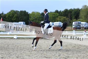 181894_mtp_05_R62_5277.JPG