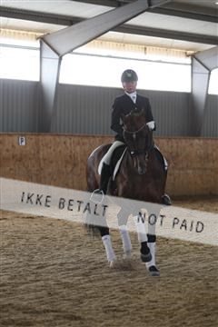139206_kl_1_8M1Q5415.JPG