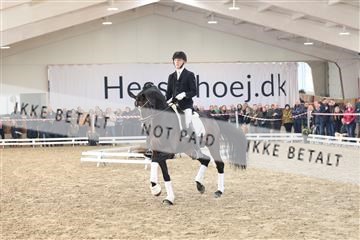 174363_kbb_01_R6II8576.JPG