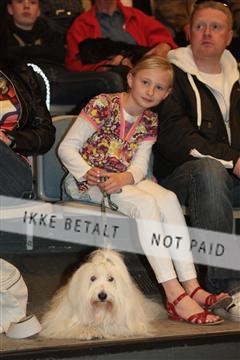 124188 _tl_02_IMG_9687.JPG