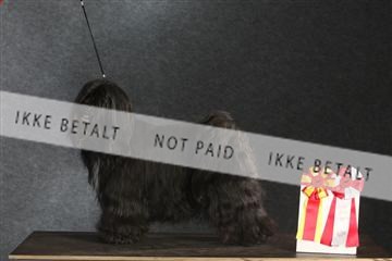 132082_le_ 01_IMG_1532.JPG