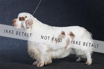 132082_le_ 01_IMG_1002.JPG