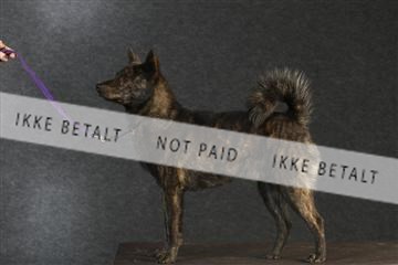 132082_le_ 01_IMG_0119.JPG