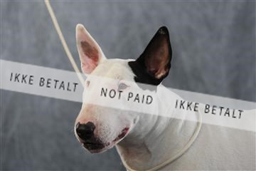 128239_le_kort_ 01_0264.JPG