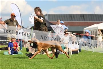 181564_rin_01_R62_9011.JPG