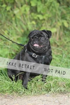 130370_se_01_IMG_5408.JPG