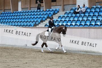 181887_mtp_02_R62_7812.JPG