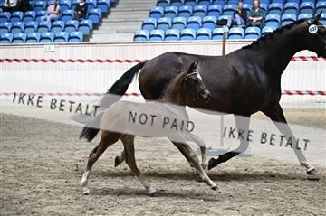 181754_kbb_01_Z093608.JPG