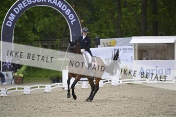 181449_kbb_04_Z093453.JPG