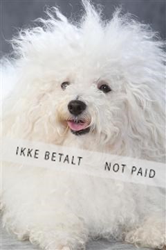 130054_le_ 01_0244.JPG