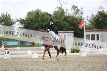 156196_nn_01_IMG_5273.JPG