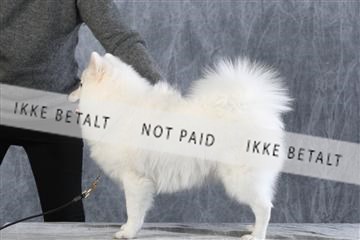 128239_le_ 06_0071.JPG