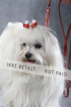 129608_le_ 01_0181.JPG