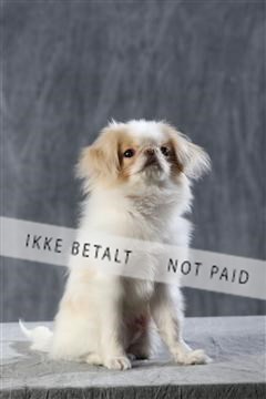 128239_le_kort_ 01_0105.JPG