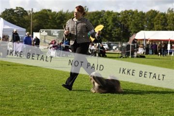 182009_kar_01__62_7174.JPG